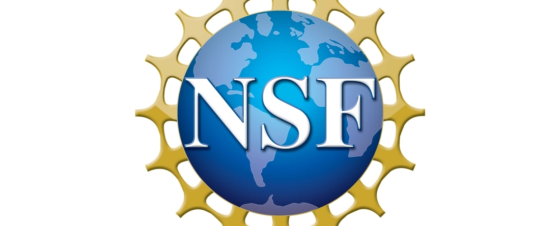 NSF Grant