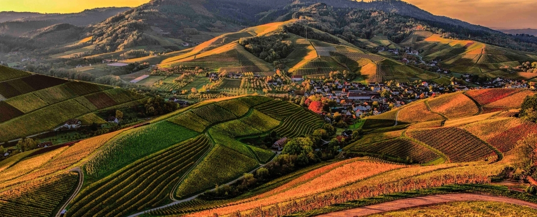 farm mountains crops