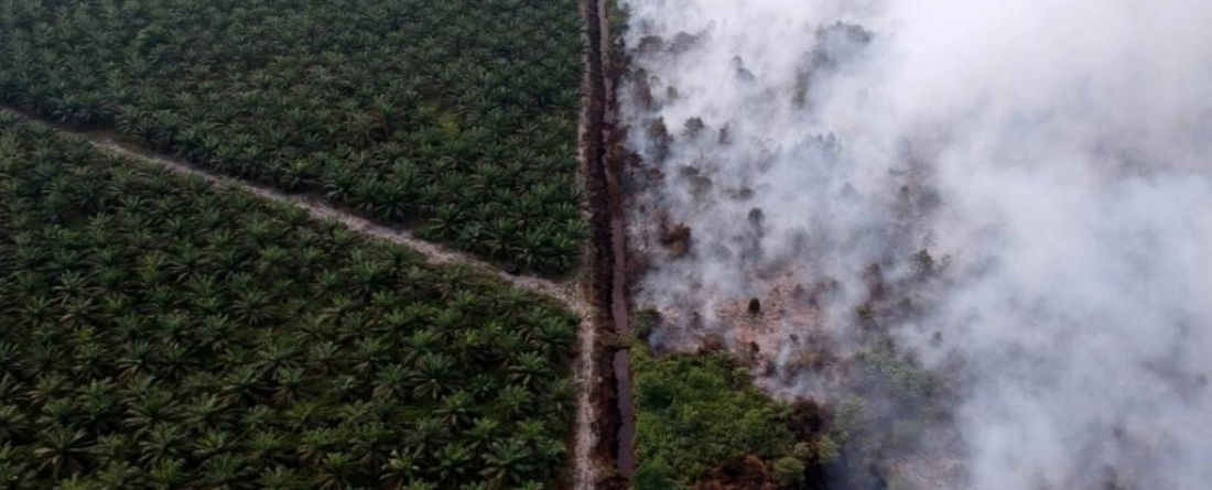 Indonesia forest fires