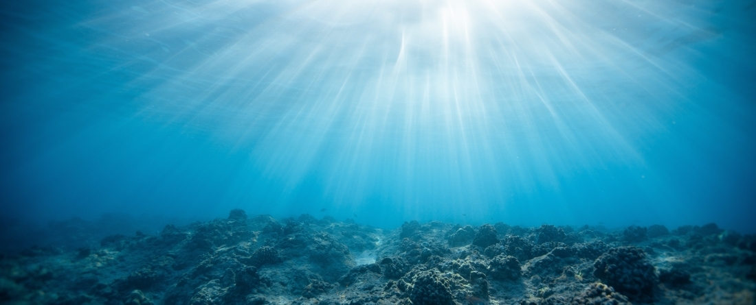 Underwater with sun rays, empty dead coral reef 