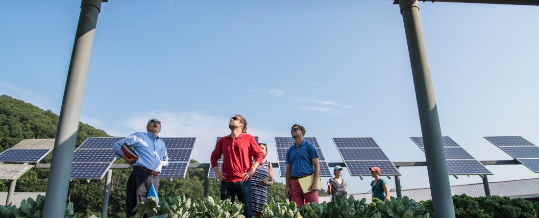 workers solar energy efficiency jobs green