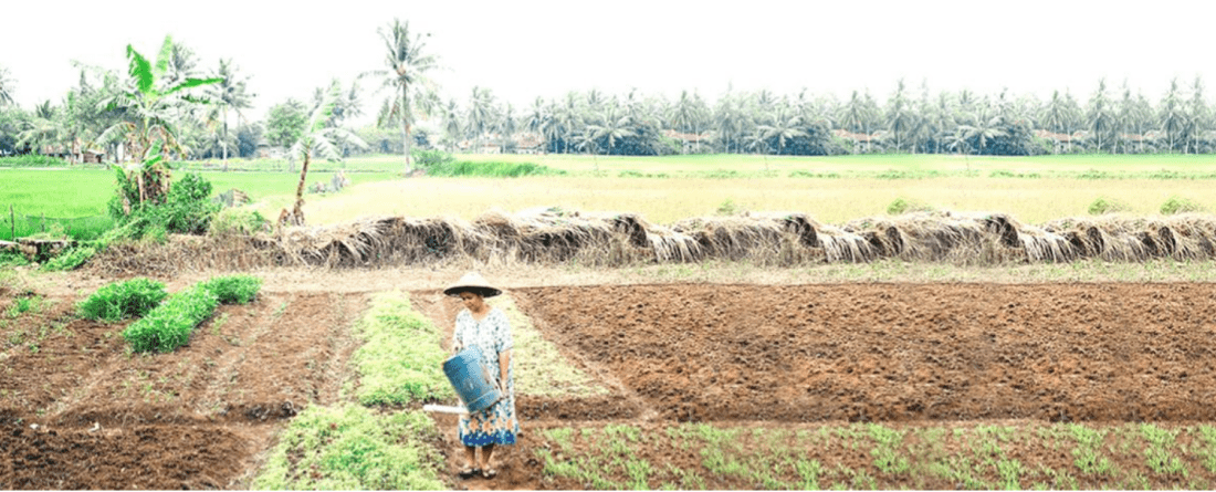 Collecting water supply