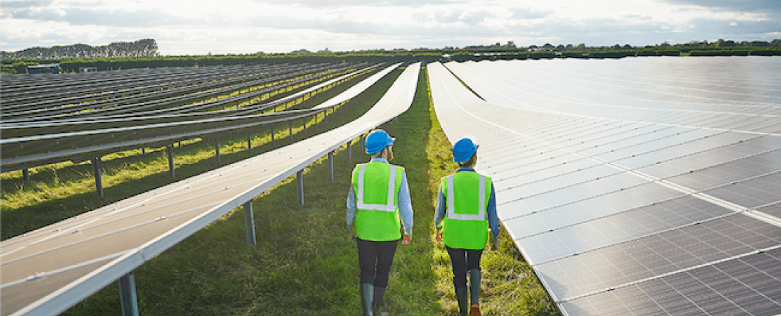 solar workers