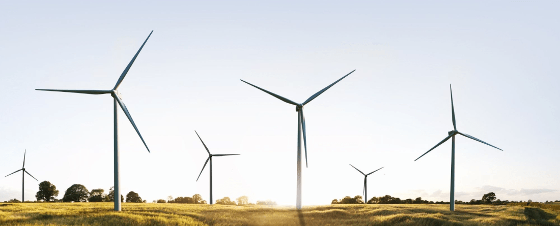 picture of wind turbines in a field