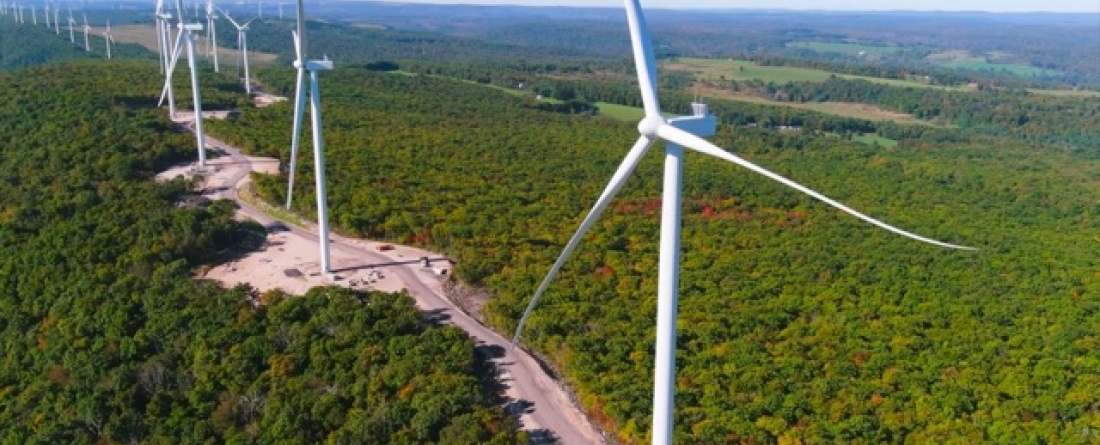 picture of wind farm