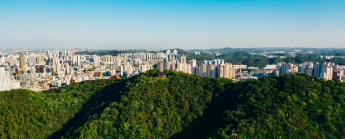 picture of trees and a city in South Korea
