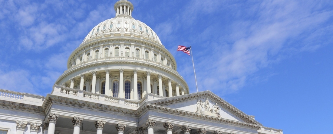 picture of congress