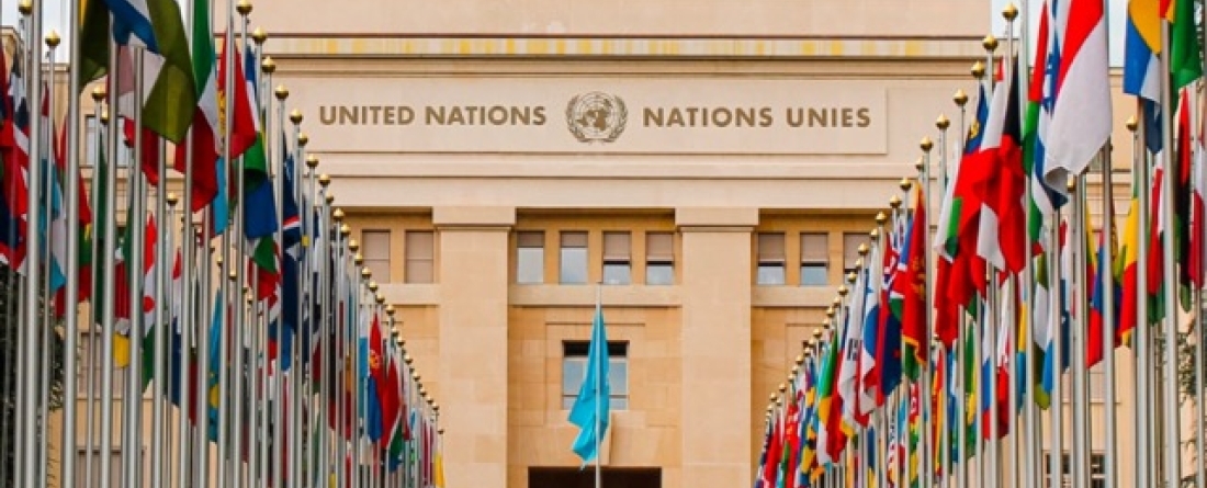 picture of United Nations building and country flags