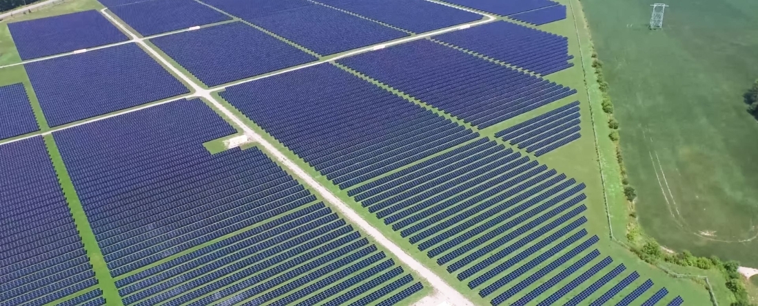 picture of solar panels in a field