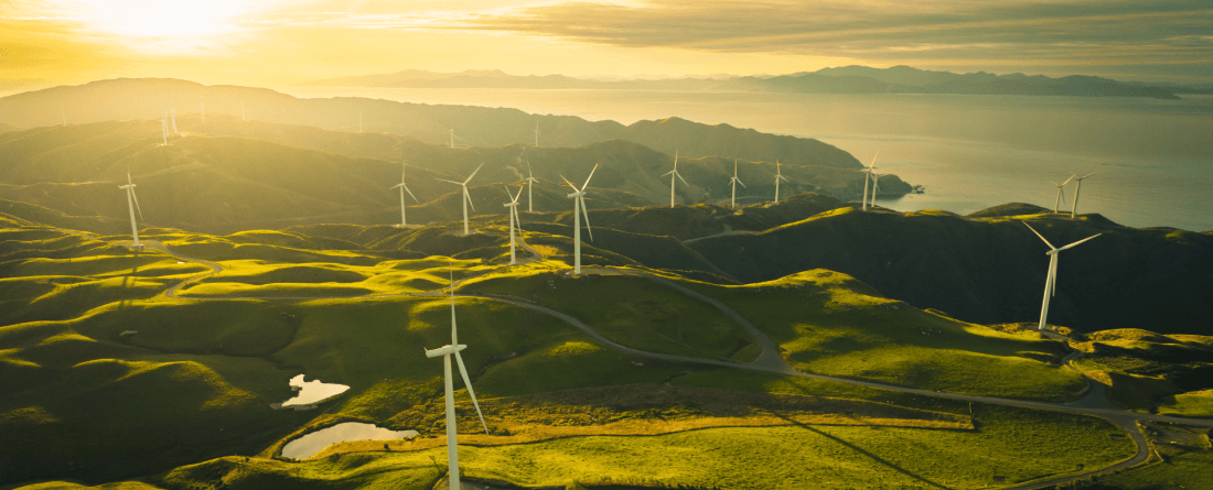 picture of windmills across land