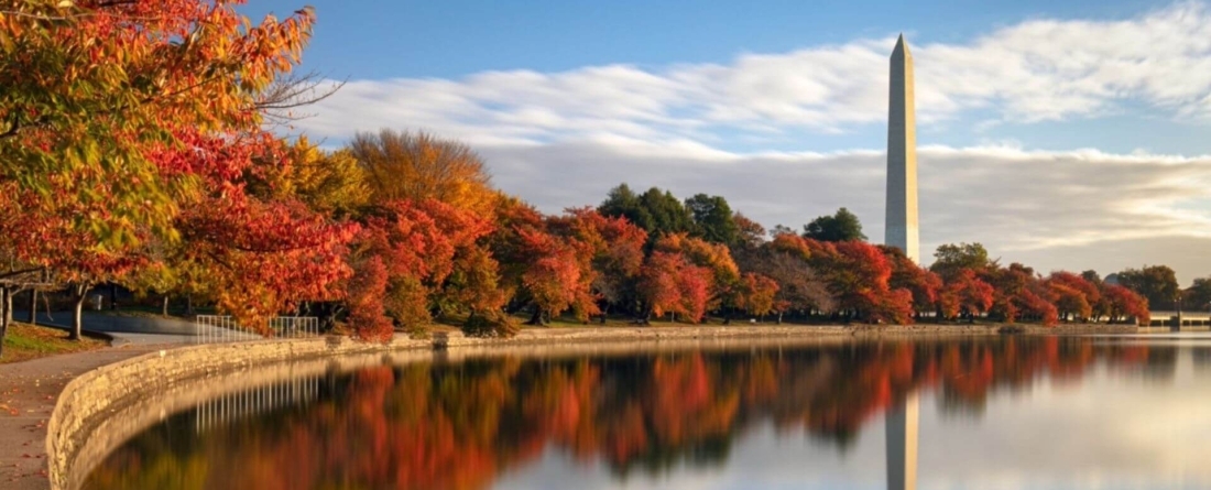 image of Washington Monument