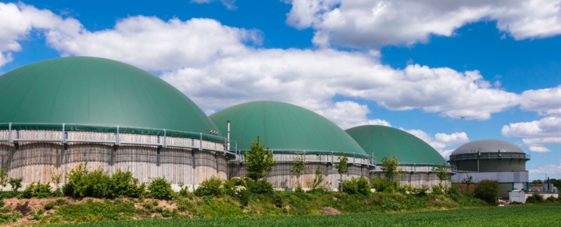 picture of anaerobic digestors