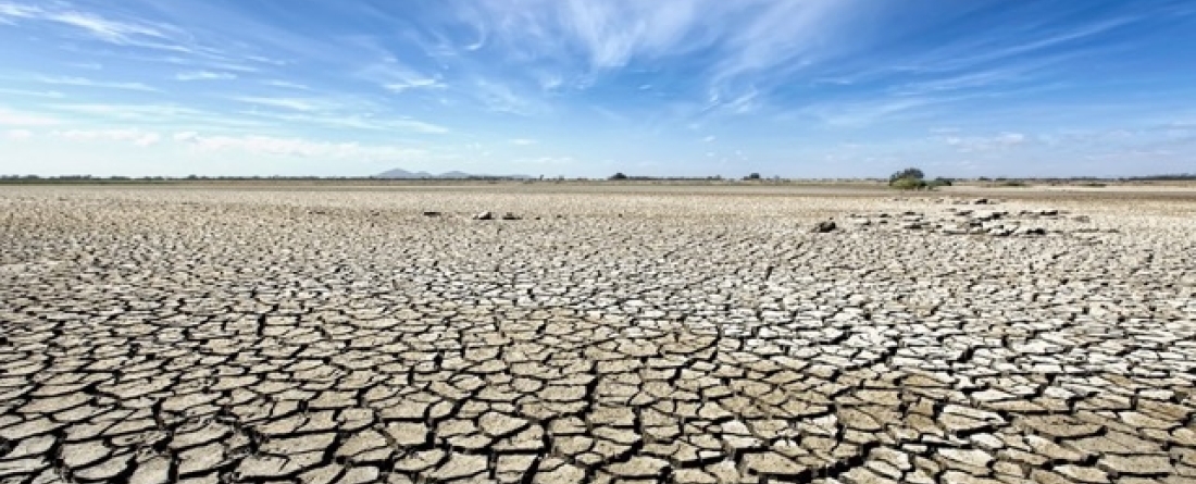 picture of a drought