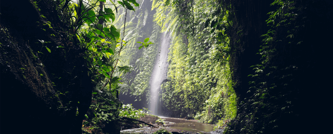 A waterfall surrounded by greenery with a small river.