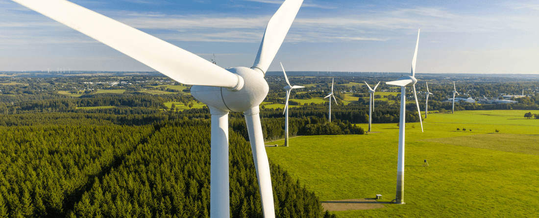 White wind turbines line the border of a forested area and an open green field on a day with blue skies.